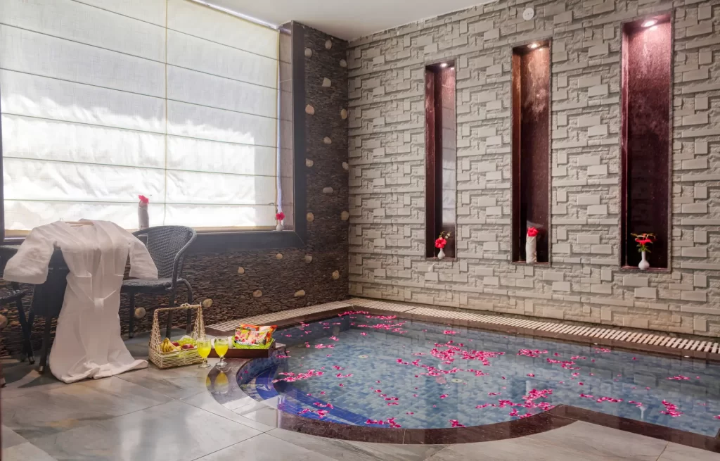 Maulik Mansion Jim Corbett private pool accommodation